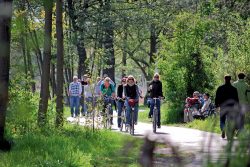 Radtour ins Grüne